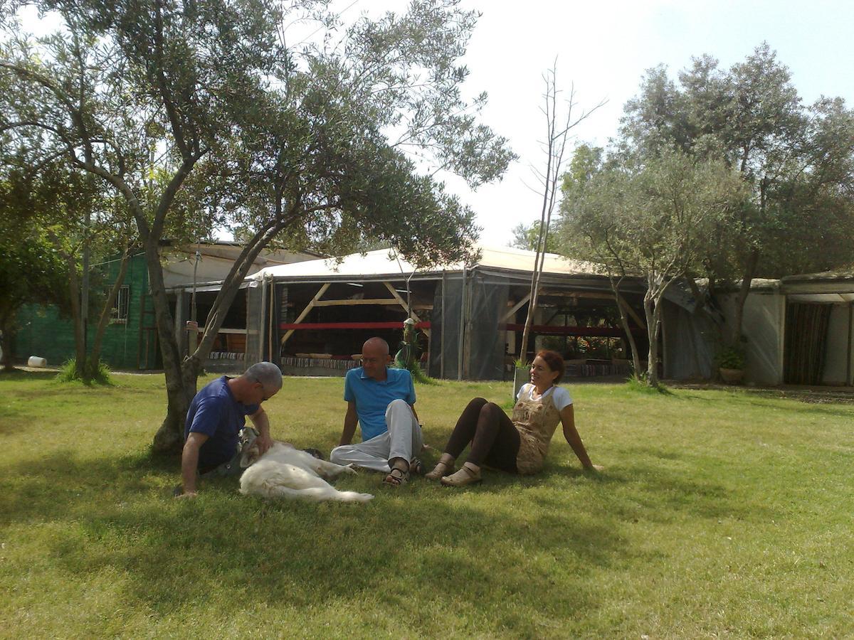 Peace Tent Villa Kfar Rut Oda fotoğraf