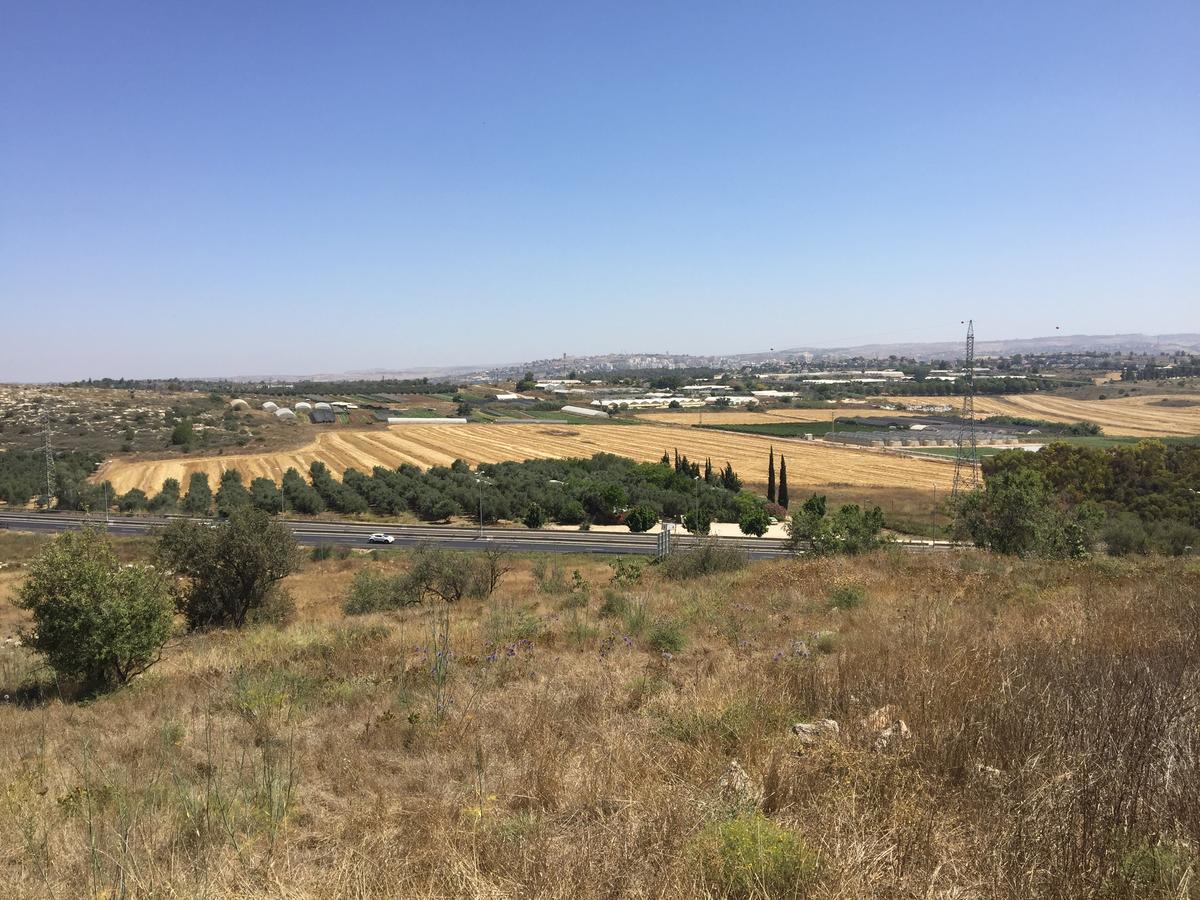 Peace Tent Villa Kfar Rut Dış mekan fotoğraf