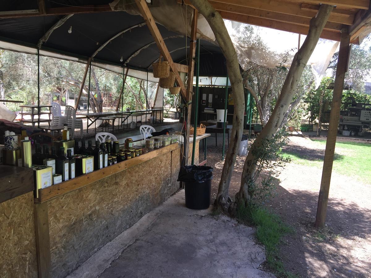 Peace Tent Villa Kfar Rut Dış mekan fotoğraf