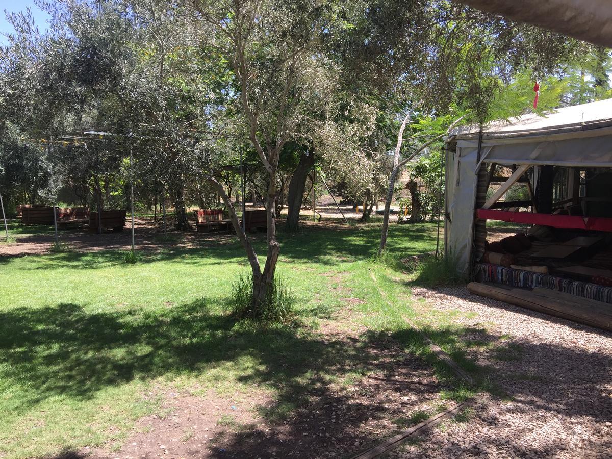 Peace Tent Villa Kfar Rut Dış mekan fotoğraf