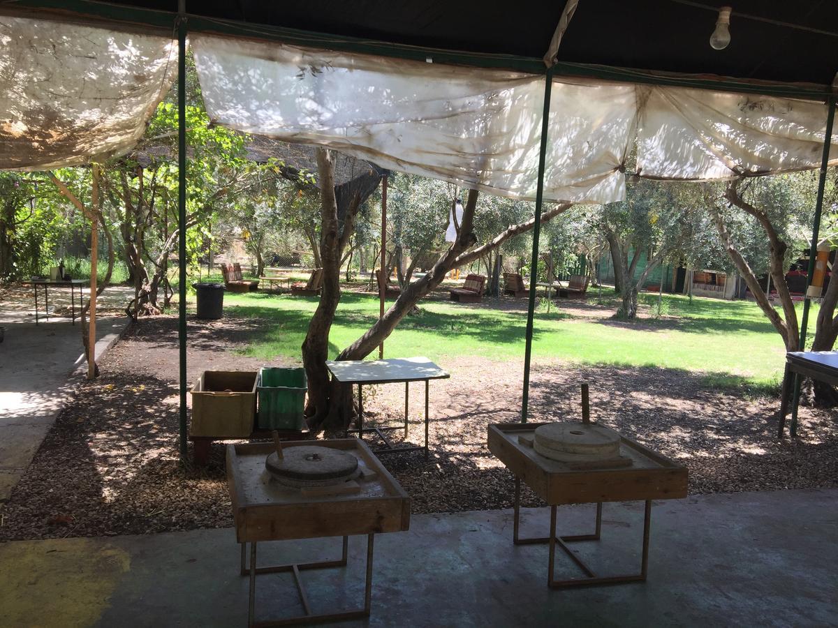 Peace Tent Villa Kfar Rut Dış mekan fotoğraf