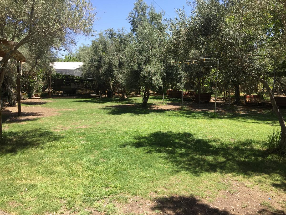 Peace Tent Villa Kfar Rut Dış mekan fotoğraf
