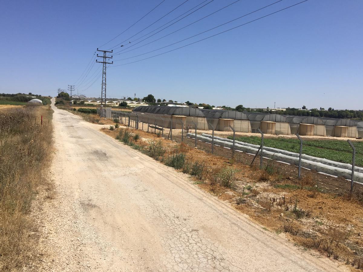 Peace Tent Villa Kfar Rut Dış mekan fotoğraf