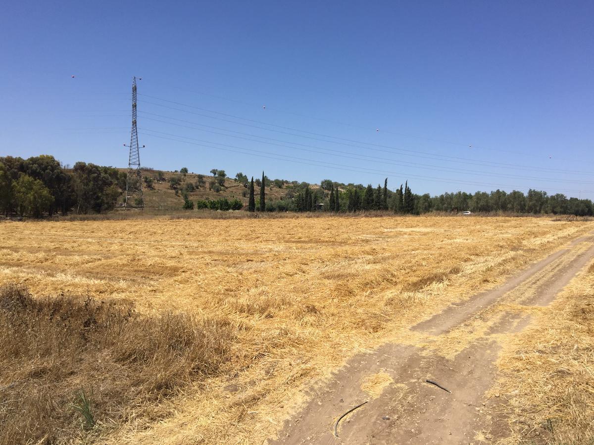 Peace Tent Villa Kfar Rut Dış mekan fotoğraf